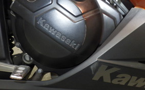 KAWASAKI NINJA 250 2017 EX250L