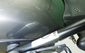 HONDA REBEL 250 S 2011 MC49
