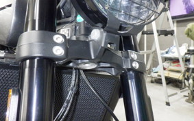 TRIUMPH TRIDENT 660 2021