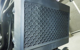 HONDA REBEL 250 S 2021 MC49