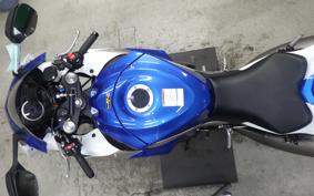 SUZUKI GSX-R1000 2010