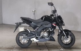 KAWASAKI Z125 PRO  BR125H