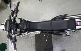 KAWASAKI KLX250 Gen.2 2024 LX250S