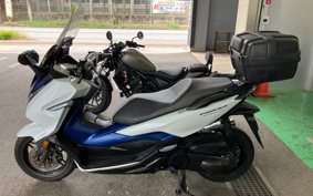 HONDA  FORZA 250 MF13