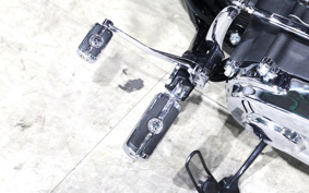 HARLEY FXBR 2019 YEJ