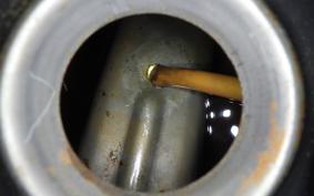 OTHER +ﾚｵﾝｱｰﾄ125 2022