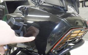 HARLEY ﾊﾟﾝ AMERICA1250S 2021