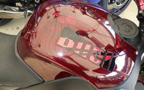 BUELL XB12SCG LIGHTNING 2010