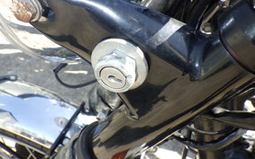 TRIUMPH TIGER T120