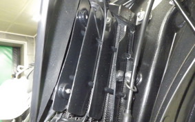 KAWASAKI KLX250 2024 LX250E