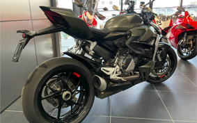 DUCATI STREET FIGHTER V2 2024 ZDMF100AA9B