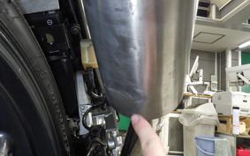 SUZUKI GOOSE 250 NJ46A