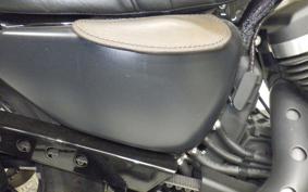 HARLEY XL883N 2017