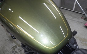 HARLEY FXBB1750 2019