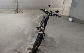 OTHER DENDOU BIKE  ..