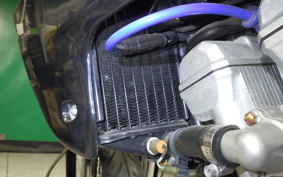 KAWASAKI KLX250D TRACKER