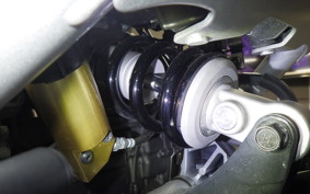 YAMAHA XSR900 GP 2024 RN96J