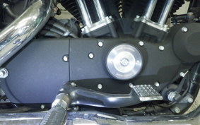 HARLEY XL883N 2009