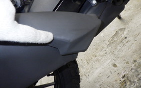 SUZUKI Vｽﾄﾛｰﾑ250SX 2025 EL11L