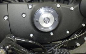 HARLEY XL883N 2017
