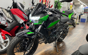 KAWASAKI Z250 EX250Y
