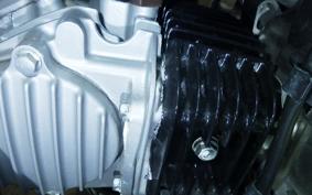 HONDA CT125 HUNTER CUB 2023 JA55