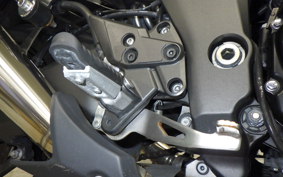 KAWASAKI NINJA 1000 A 2019 ZXT00W