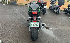 KAWASAKI NINJA H2 2020 ZRT00K