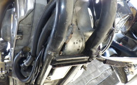 HARLEY XLH883