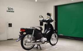 HONDA C110 SUPER CUB 2019 JA10