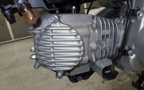 HONDA ｸﾛｽｶﾌﾞ50 2024 AA06