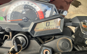 KAWASAKI Z250 ER250C