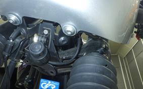 KAWASAKI W800 CAFE 2020 EJ800B