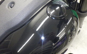 HARLEY FXLRS1920 2024
