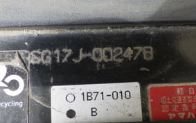 YAMAHA MAXAM 250 SG17J