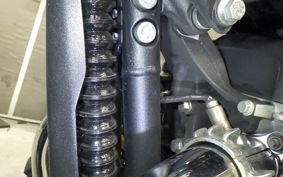 OTHER +ENFIELD SUPER ﾒﾃｵ650 2024