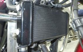 HONDA CB250R 2024 MC52