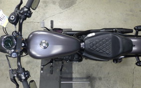 HARLEY XL883N 2018