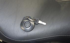 OTHER +HD. XL1200L-I 2007