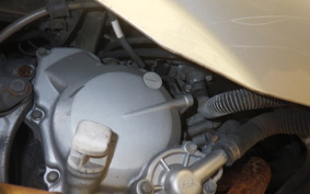 SYM RV125 JP Type 2020