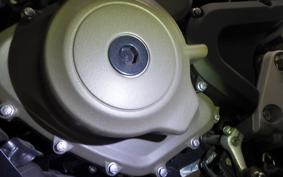 HUSQVARNA SVARTPILEN 250