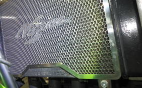 KAWASAKI ZRX1200 R ZRT20A