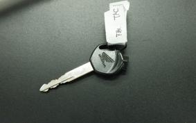 HONDA TACT-4ﾍﾞｰｼｯｸ AF79