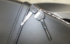 HONDA CRF250L 2019 MD47