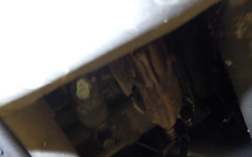 HONDA LEAD 125 JF45