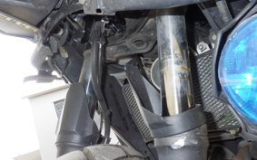 KAWASAKI VERSYS X250 A LE250D