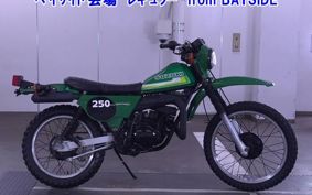 SUZUKI TS250 TS2504