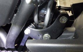 KAWASAKI NINJA 650 A 2024 ER650S