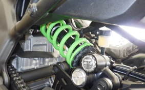 KAWASAKI ZX-4RR 2025 ZX400P