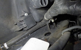 HONDA LEAD 110 2025 JF19